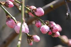 080326_105039_0