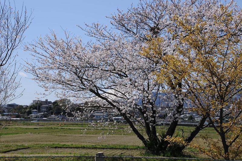 080401_125637_0.jpg