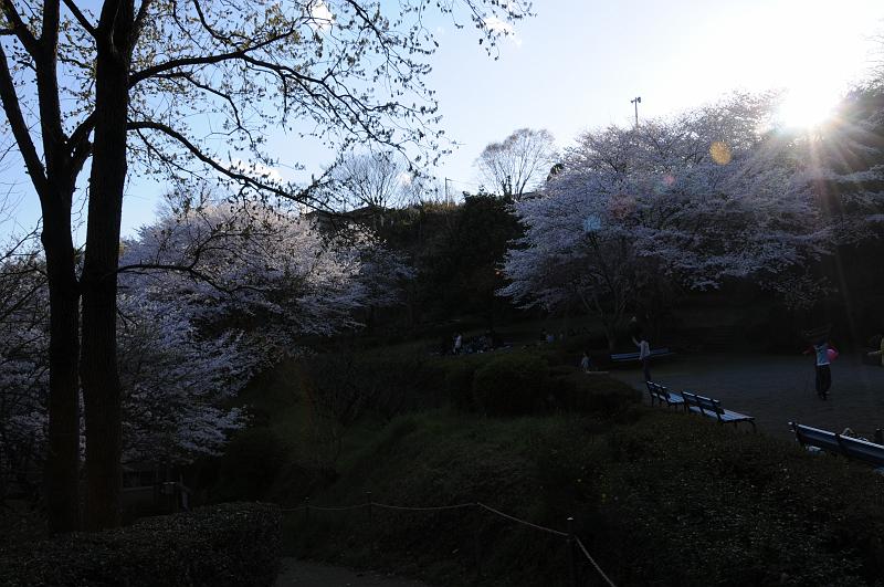 080401_163840_0.jpg