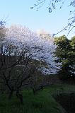 080401_162914_0