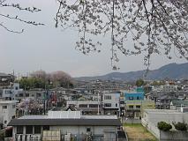 080405_111831_0