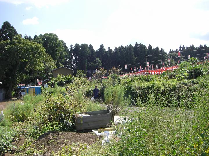080909_130820_0.jpg