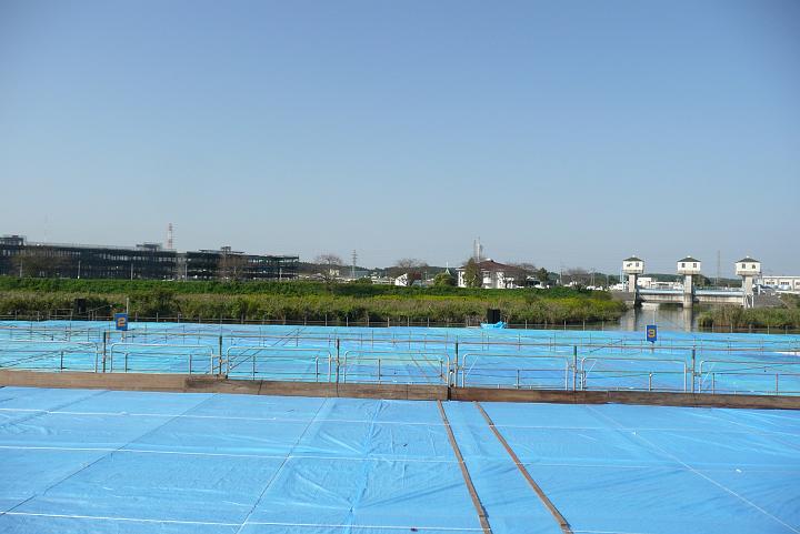 081004_083238_0.jpg