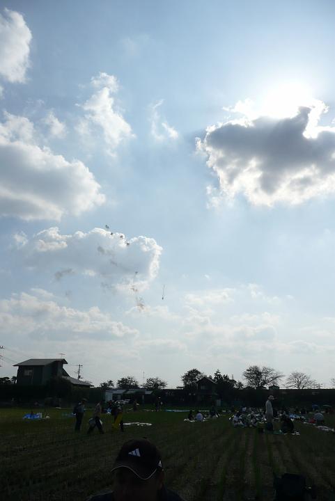 081004_133841_0.jpg