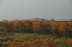 081013_062201_0
