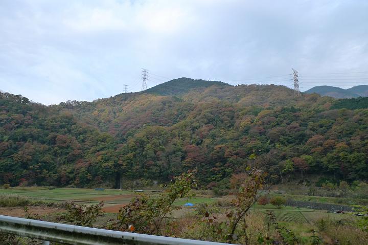 081124_080156_0.jpg