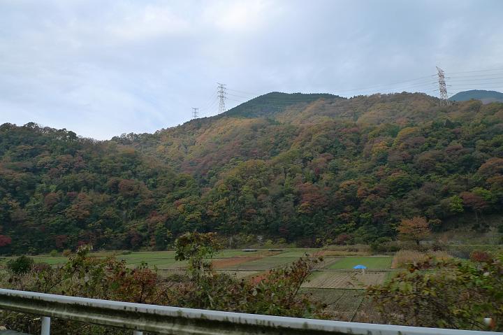 081124_080158_0.jpg