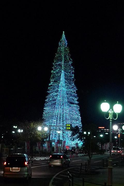 081122_192505_0.jpg