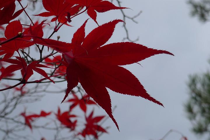 081123_125003_0.jpg