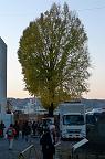 081203_161333_0