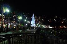 081207_193922_0