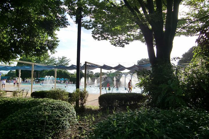 090725_170028_0.jpg