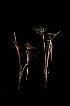 090814_204405_0
