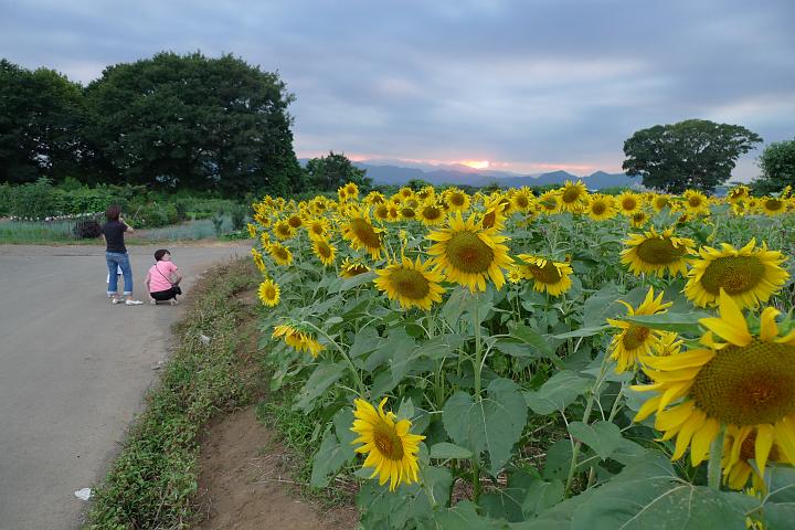 090826_175607_0.jpg