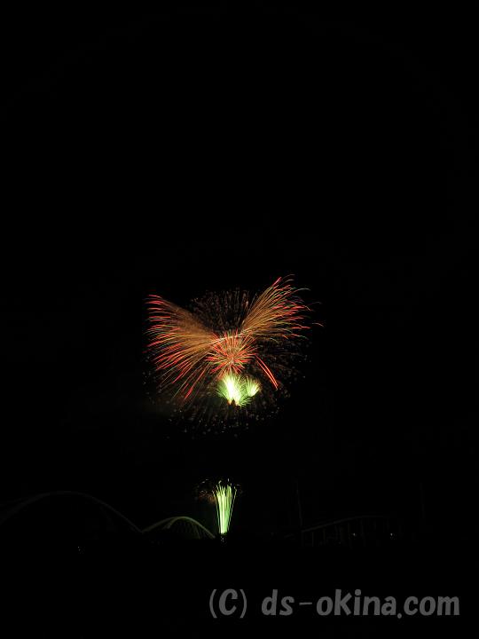 100725_194540_0.jpg
