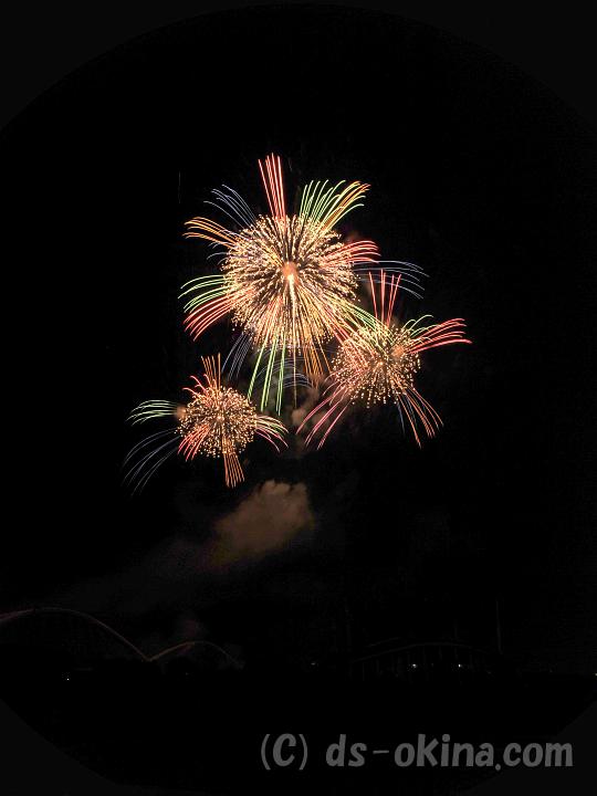 100725_204155_0.jpg