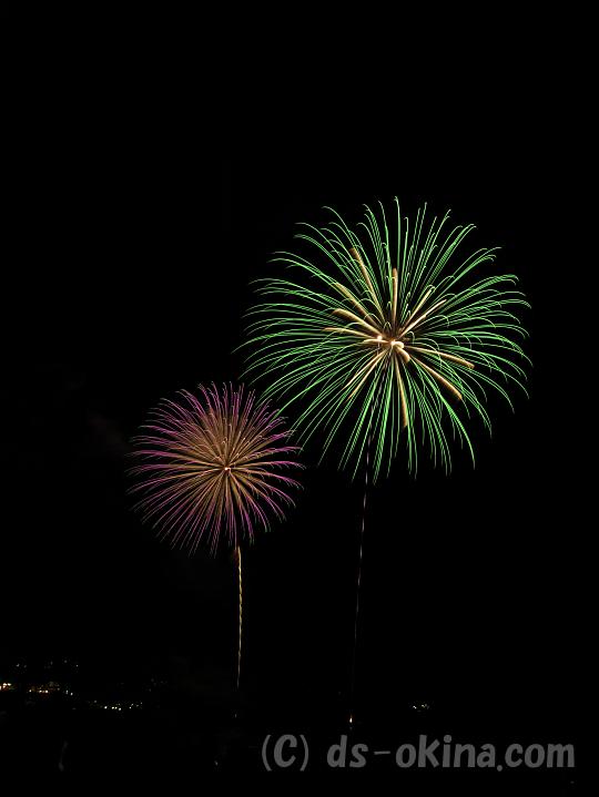 100803_202232_0.jpg