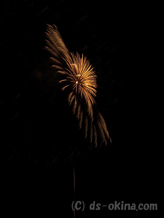 100809_203102_0.jpg