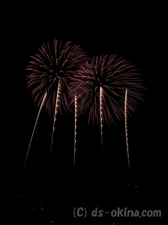 100814_194819_0.jpg
