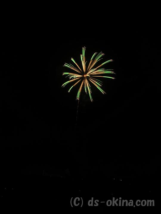 100814_200810_0.jpg
