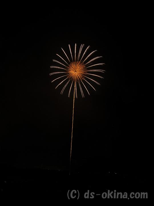 100814_201047_0.jpg