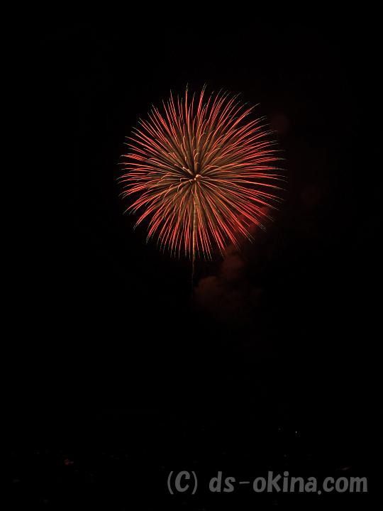 100814_203336_0.jpg