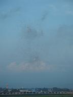 100828_173508_3