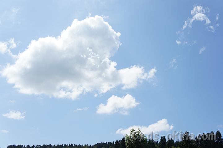 100910_130017_1.jpg