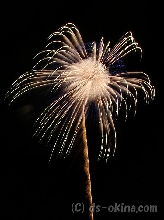 101123_181928_0.jpg