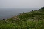 110604_072525_0
