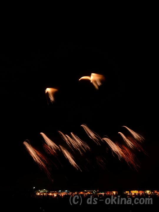 111015_194135_0.jpg