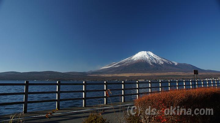 111124_081652_0.jpg