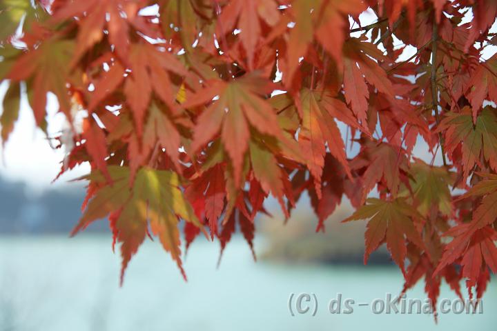 111124_100835_0.jpg