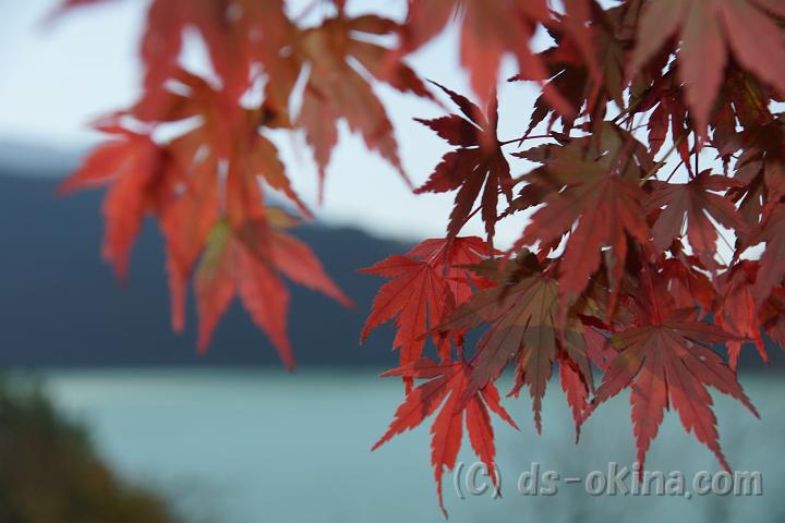 111124_100840_0.jpg