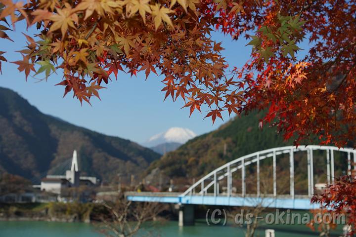 111124_100947_0.jpg
