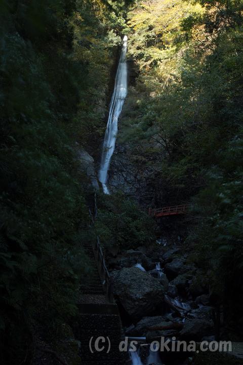 111124_105344_0.jpg
