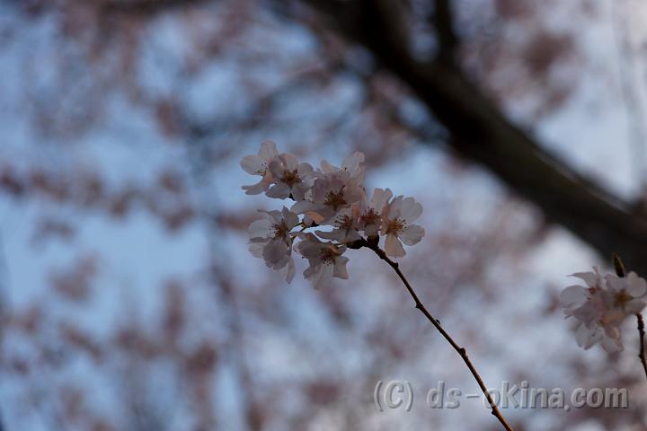 120401_172726_0.jpg