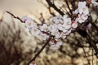 120401_173004_0