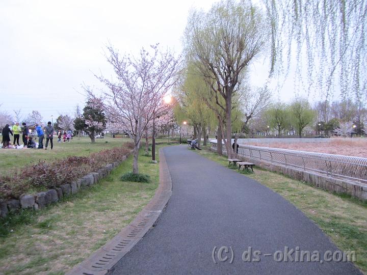 120407_180439_0.jpg