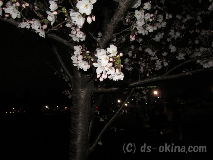 120407_194129_0.jpg
