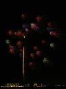 120707_202601_0