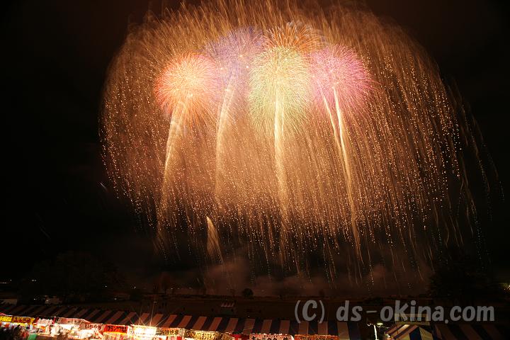 121123_195204_9.jpg