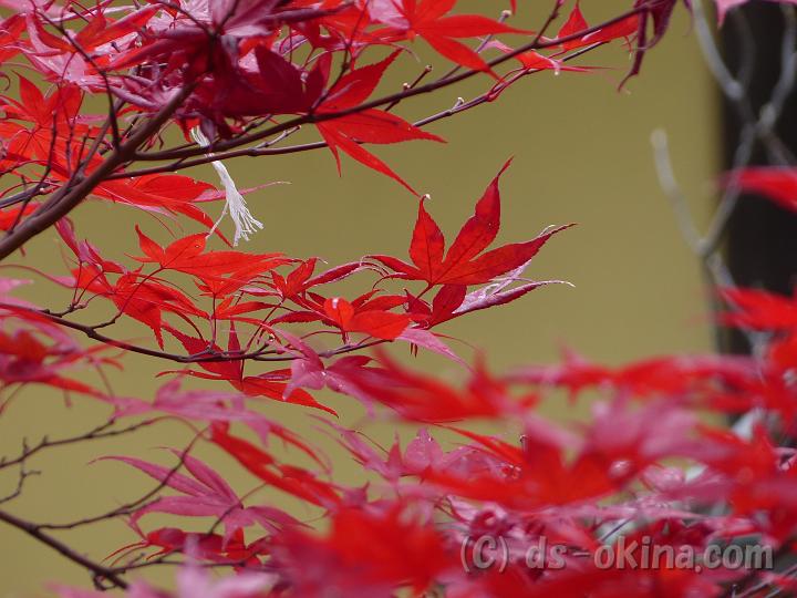121123_102859_0.jpg