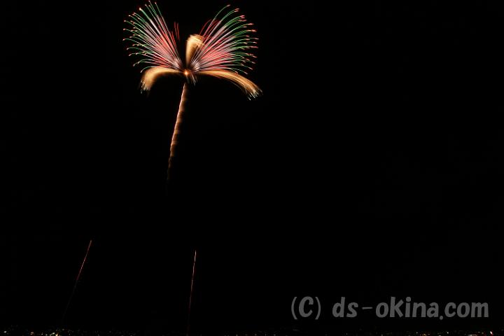 130807_202919_0.jpg