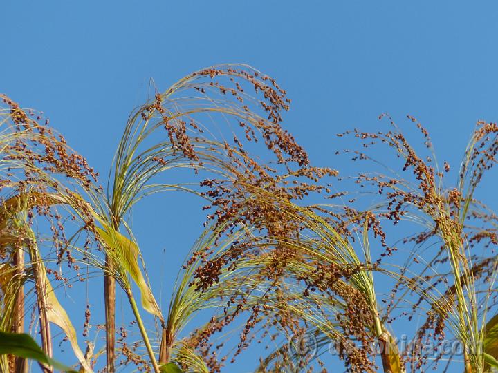 131013_091630_0.jpg