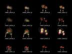 album0807h11