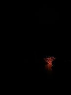 140811_200730_0