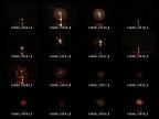 album009