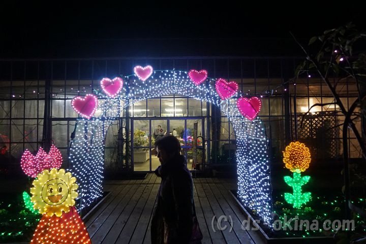 141122_173342_0.jpg
