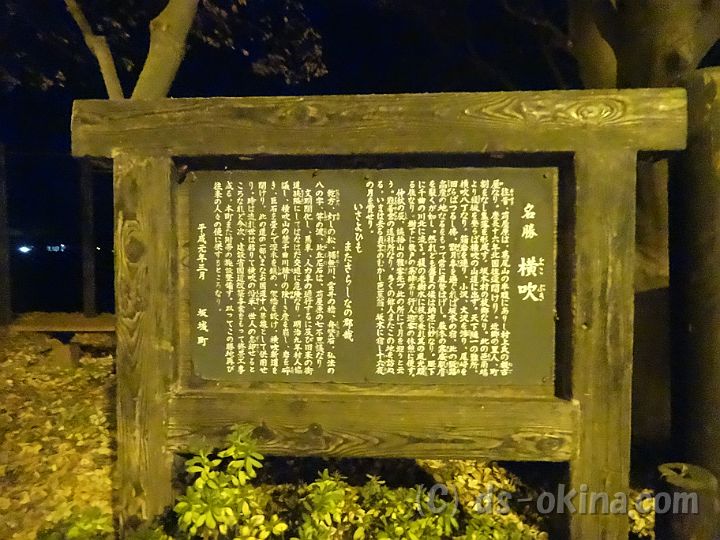 141122_215509_0.jpg